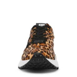 Steve Madden CAPITALE-L BLACK LEOPARD 13 Steve Madden CAPITALE-L BLACK LEOPARD -Steve Madden Store STEVEMADDEN SHOES CAPITALE L LEOPARD FRONT SMECOMM