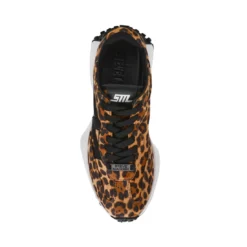Steve Madden CAPITALE-L BLACK LEOPARD 14 Steve Madden CAPITALE-L BLACK LEOPARD -Steve Madden Store STEVEMADDEN SHOES CAPITALE L LEOPARD TOP SMECOMM