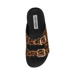 Steve Madden FREELANCE-L LEOPARD -Steve Madden Store STEVEMADDEN SHOES FREELANCE L LEOPARD TOP