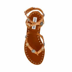 Steve Madden RECENT TAN -Steve Madden Store webimage E24D7556 51C3 49B8 999140C5BF13A604
